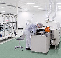 Forbo Sphera Ec 450050 olive фото 2 | FLOORDEALER